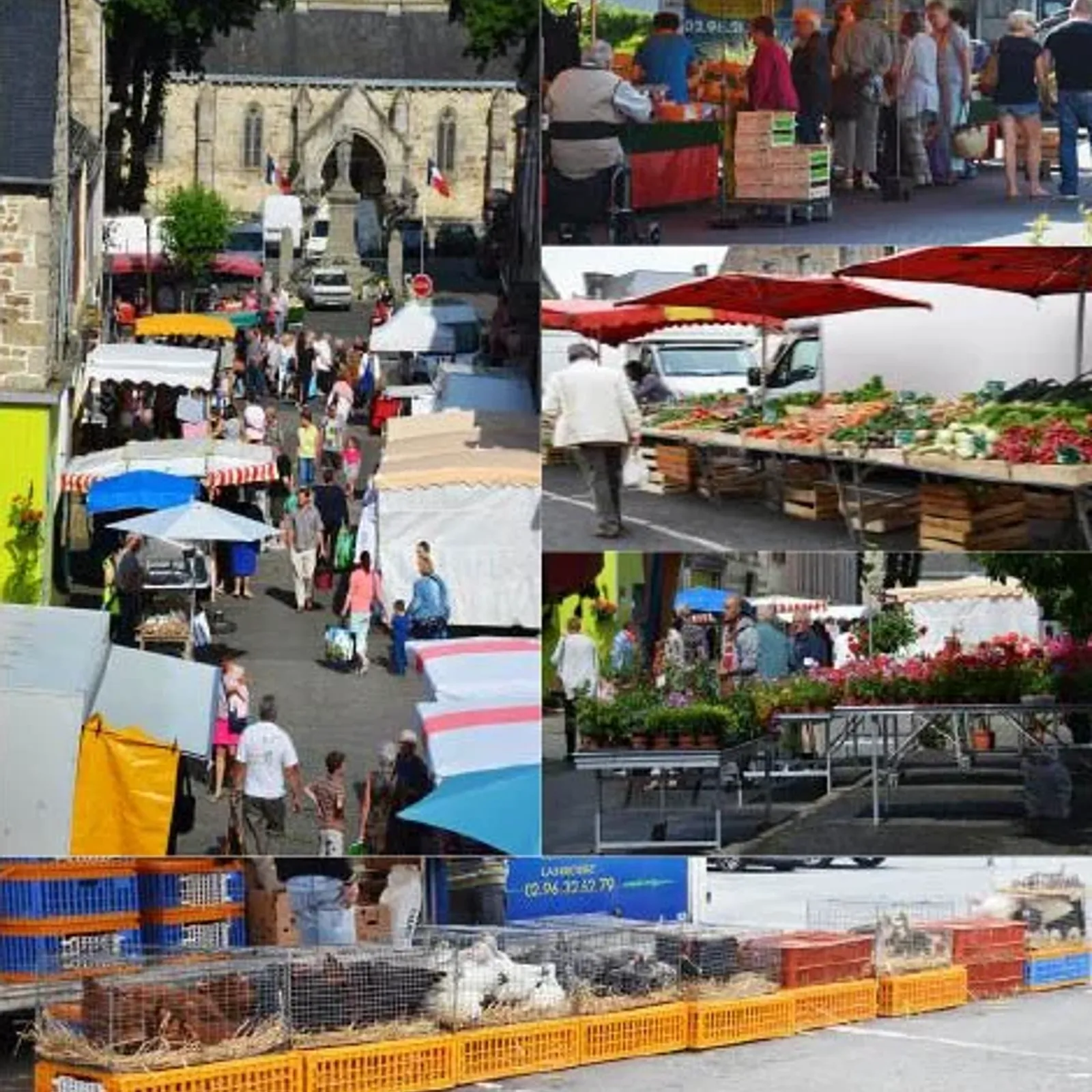 Episode 8 : les alentours de Callac 