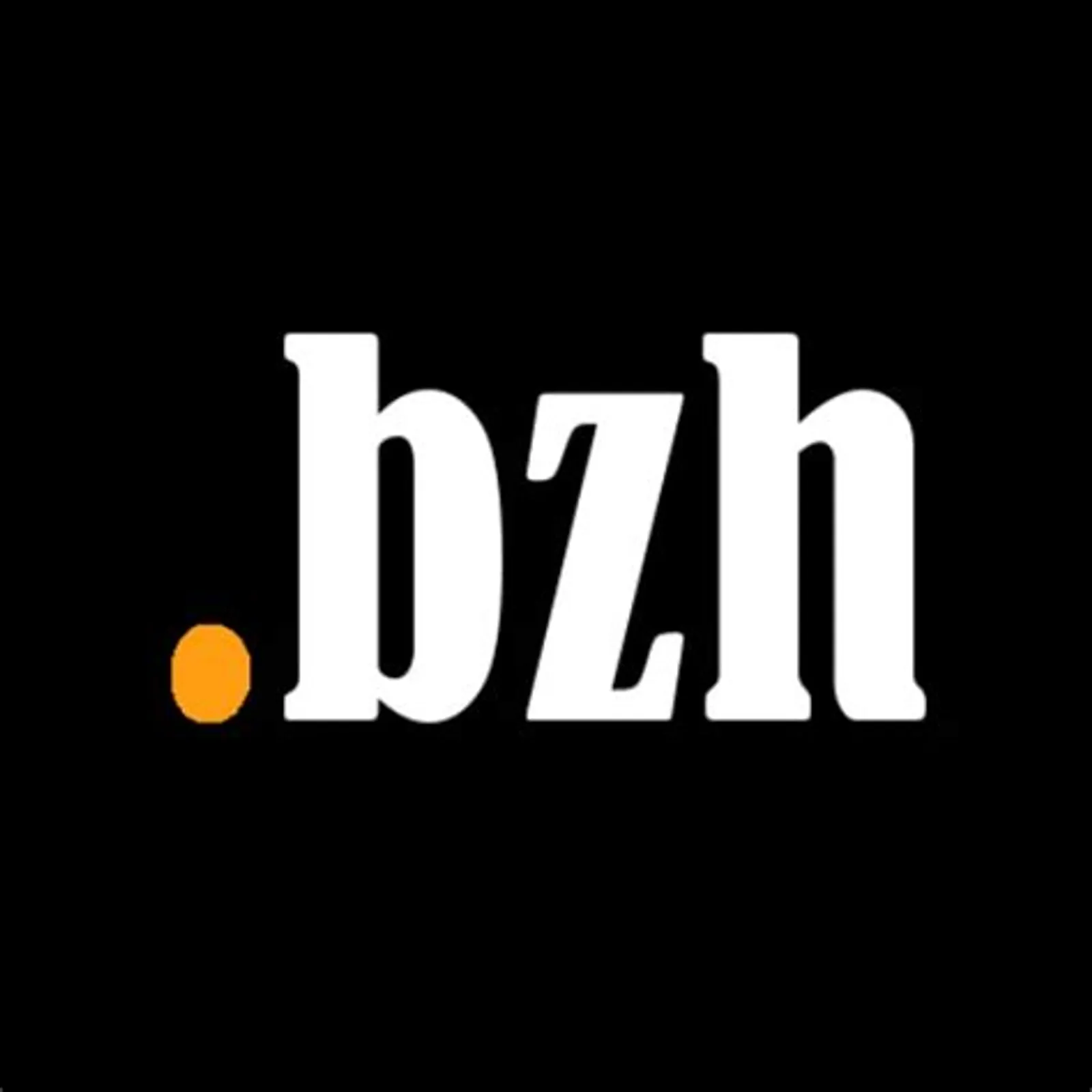 10 vloaz eo ar pik BZH !