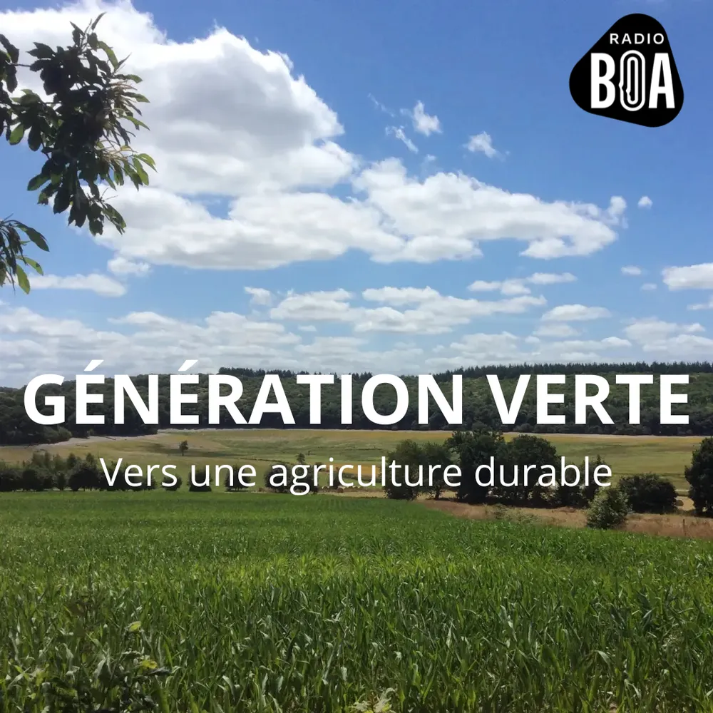 Vers le retour du bocage en Bretagne ? 