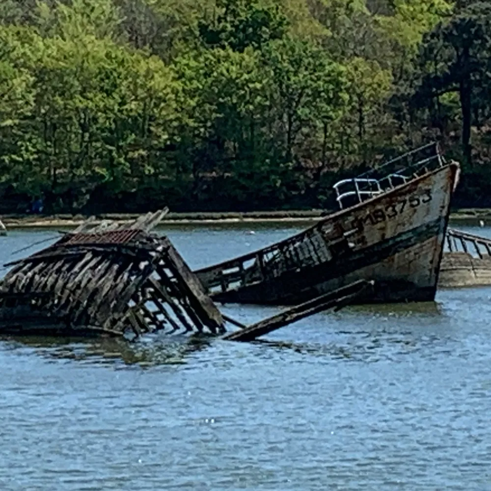  Les cimetières marins