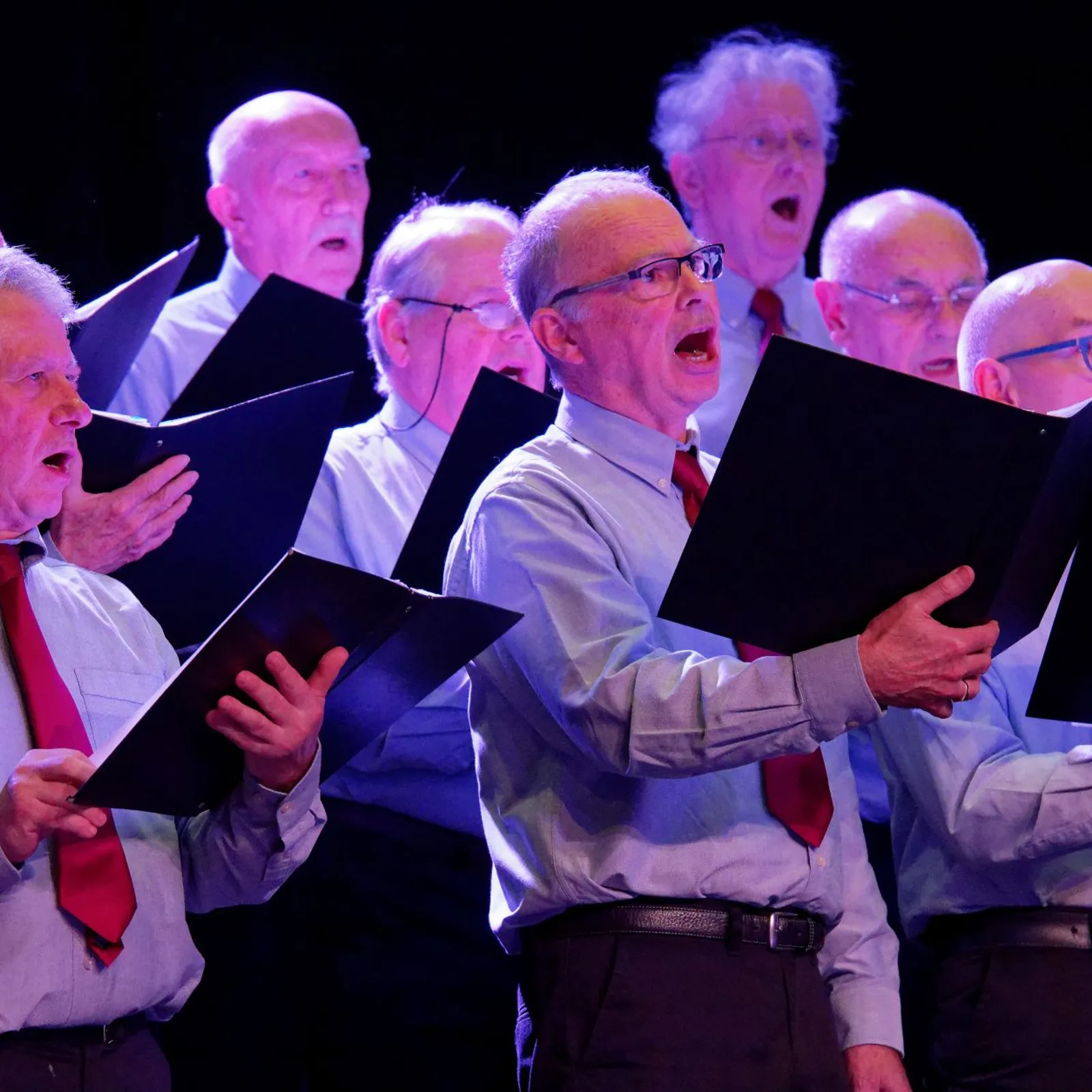 Avel em fenn - Merc'her 15 a viz Mae