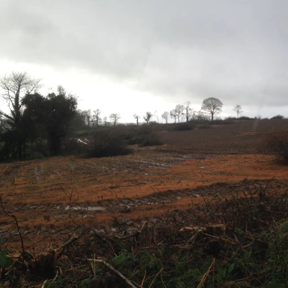 Kleuzioù ha girzhier en arvar