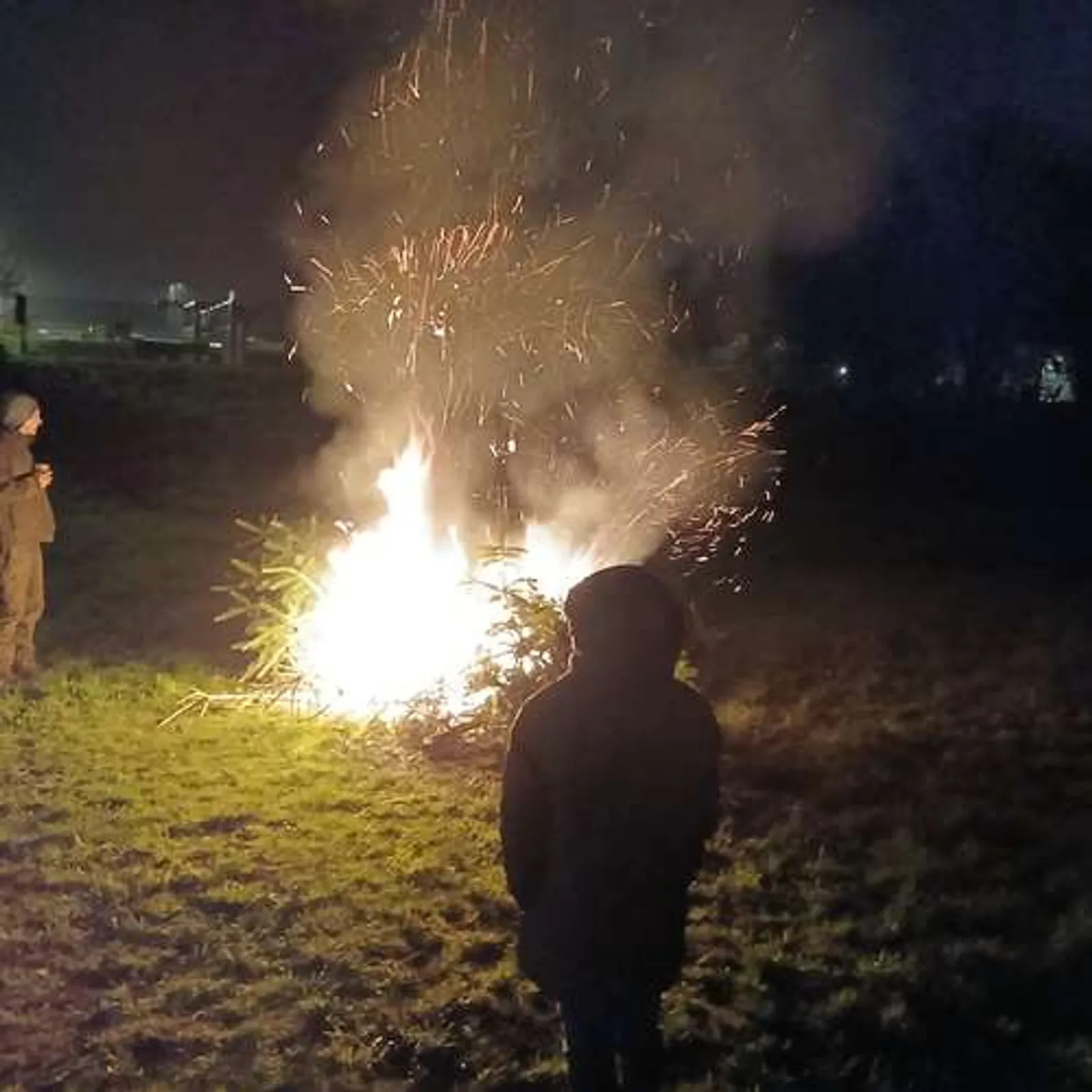 Tantad gwez Nedeleg Kawan