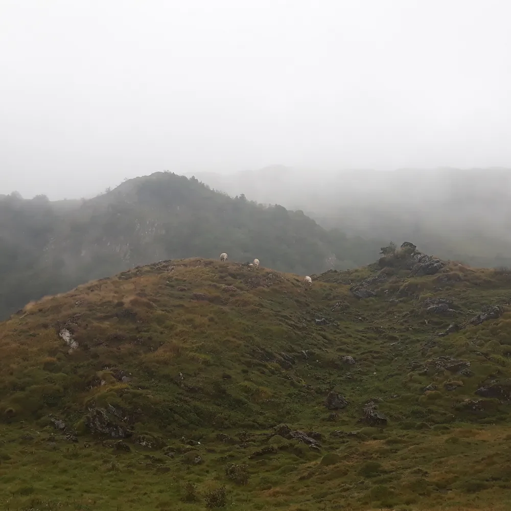 Le Portrait : Sheelagh, ni anglaise, ni irlandaise