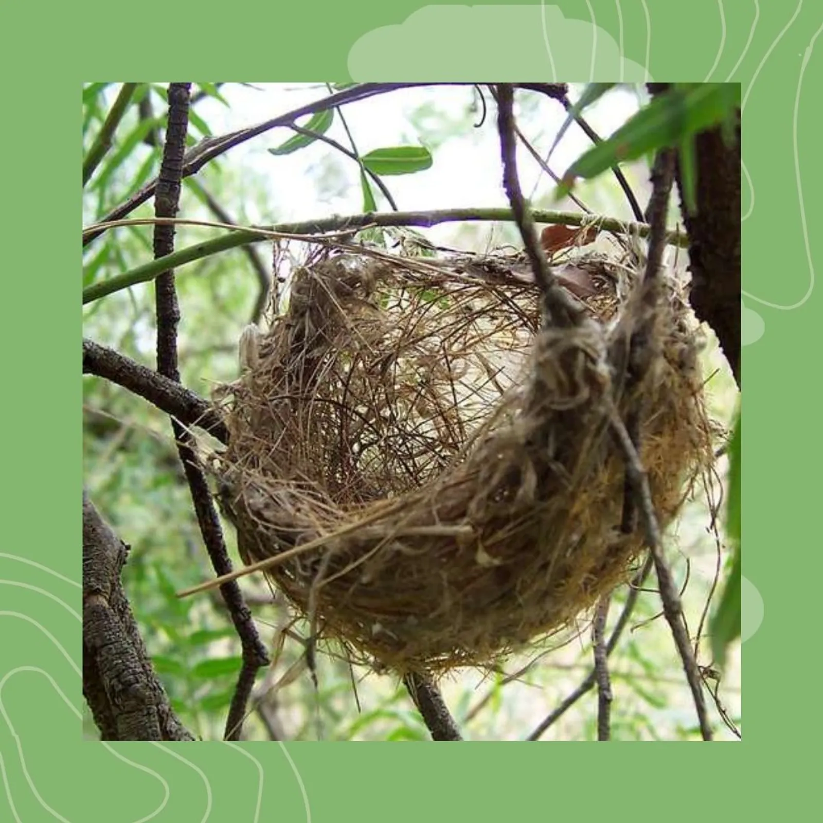 11- Ar pint : an neizh