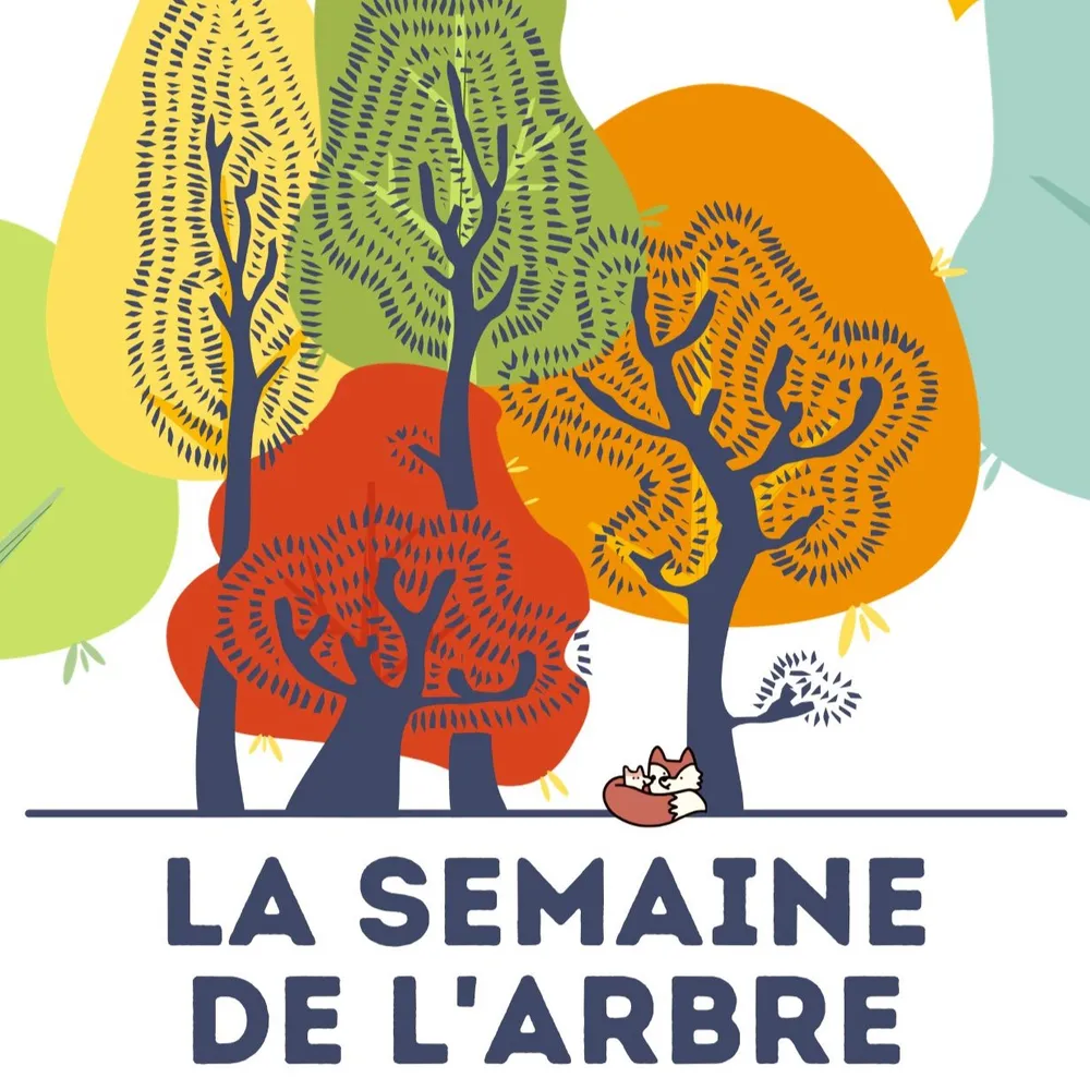 Tarzh an Noz du mardi 21 novembre 2023