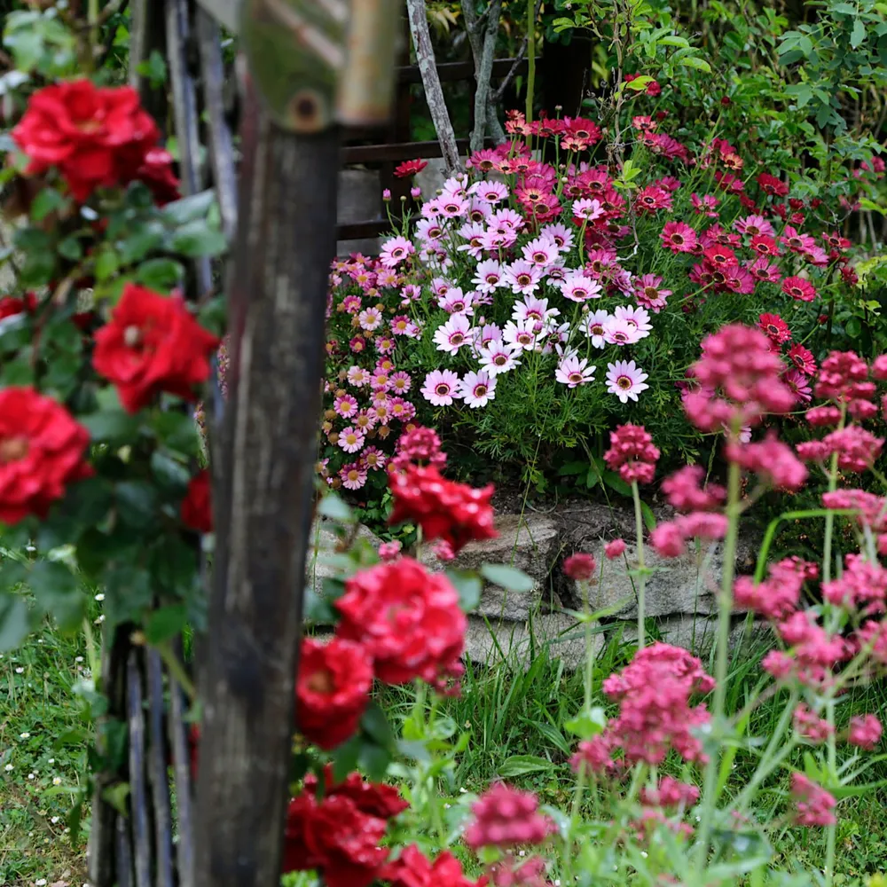 Les jardins de Yann-Fulup Dupuy (2)