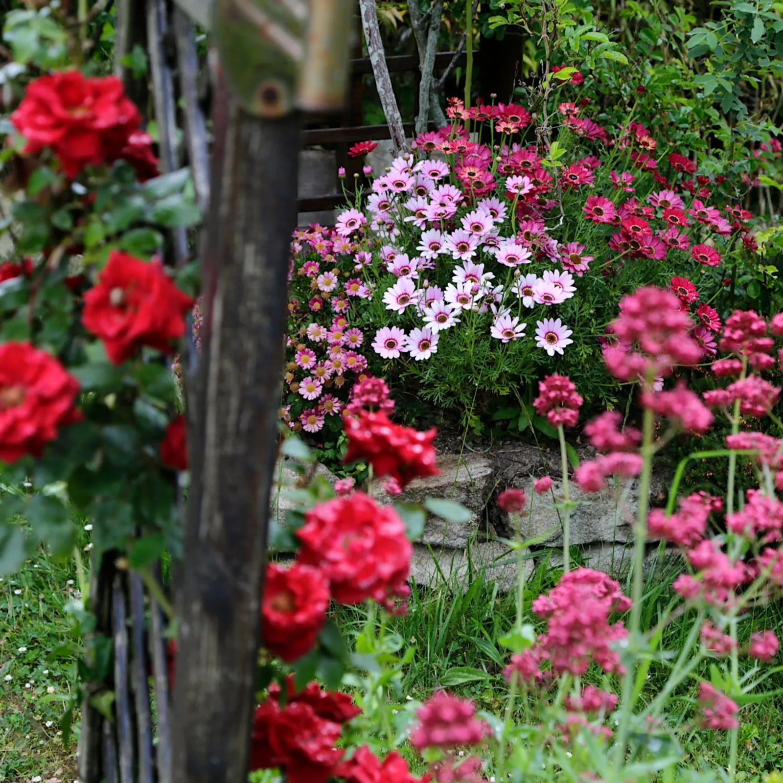 Les jardins de Yann-Fulup Dupuy (2)