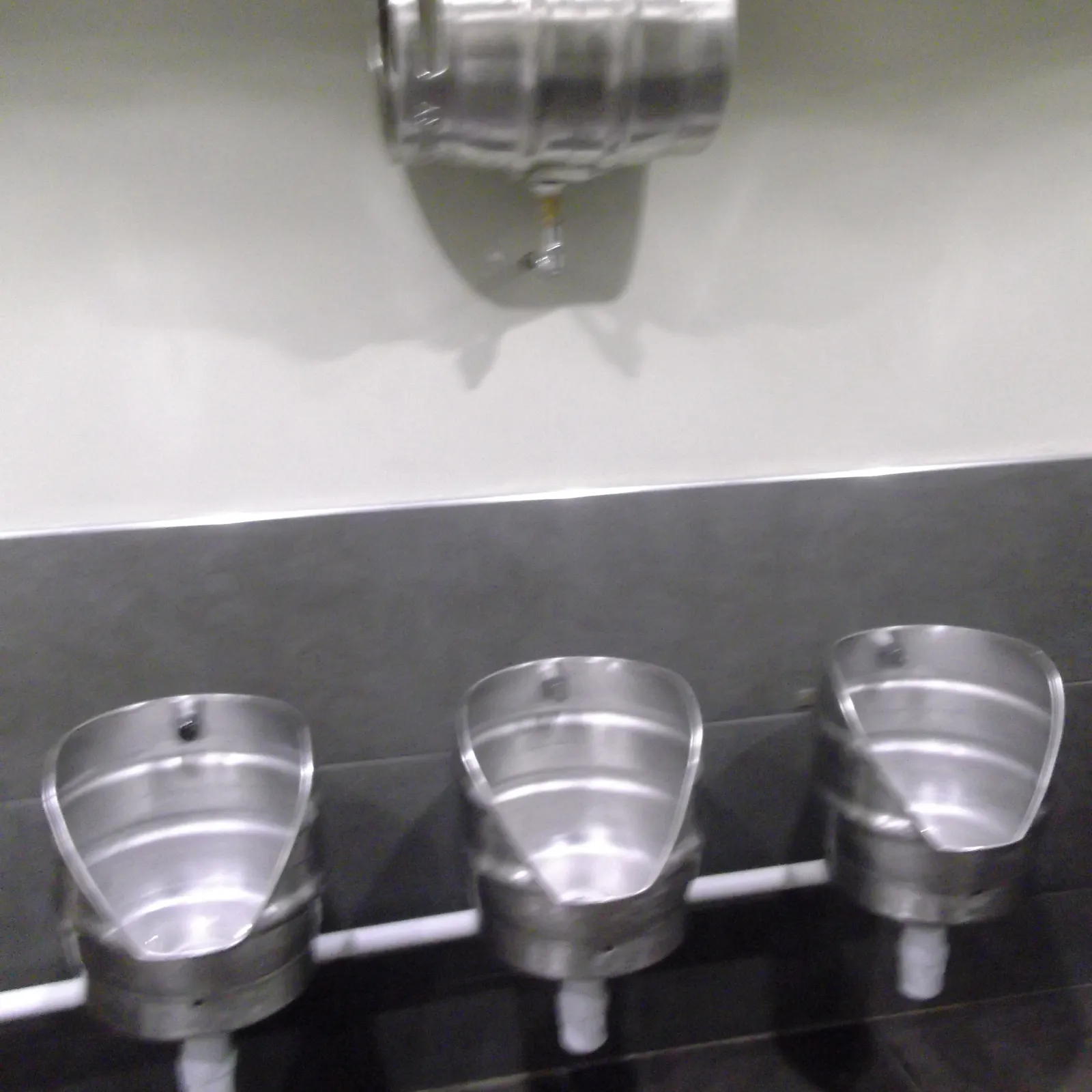 Bandes Organisées #32 : la rentrée du punk