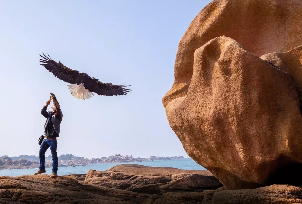 C'hwezh an Deiz 11/10/2024