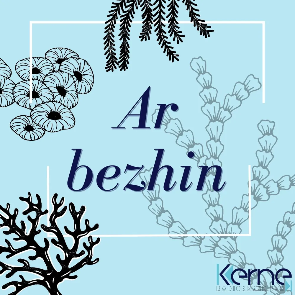 Ar bezhin 1 - Petra eo