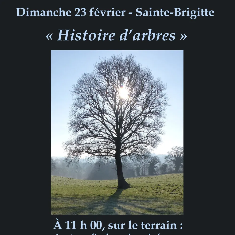 Avez-vous déjà lu un arbre ? [Les Cartes Blanches]