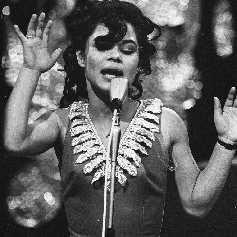 Trans Vinyl Express #125