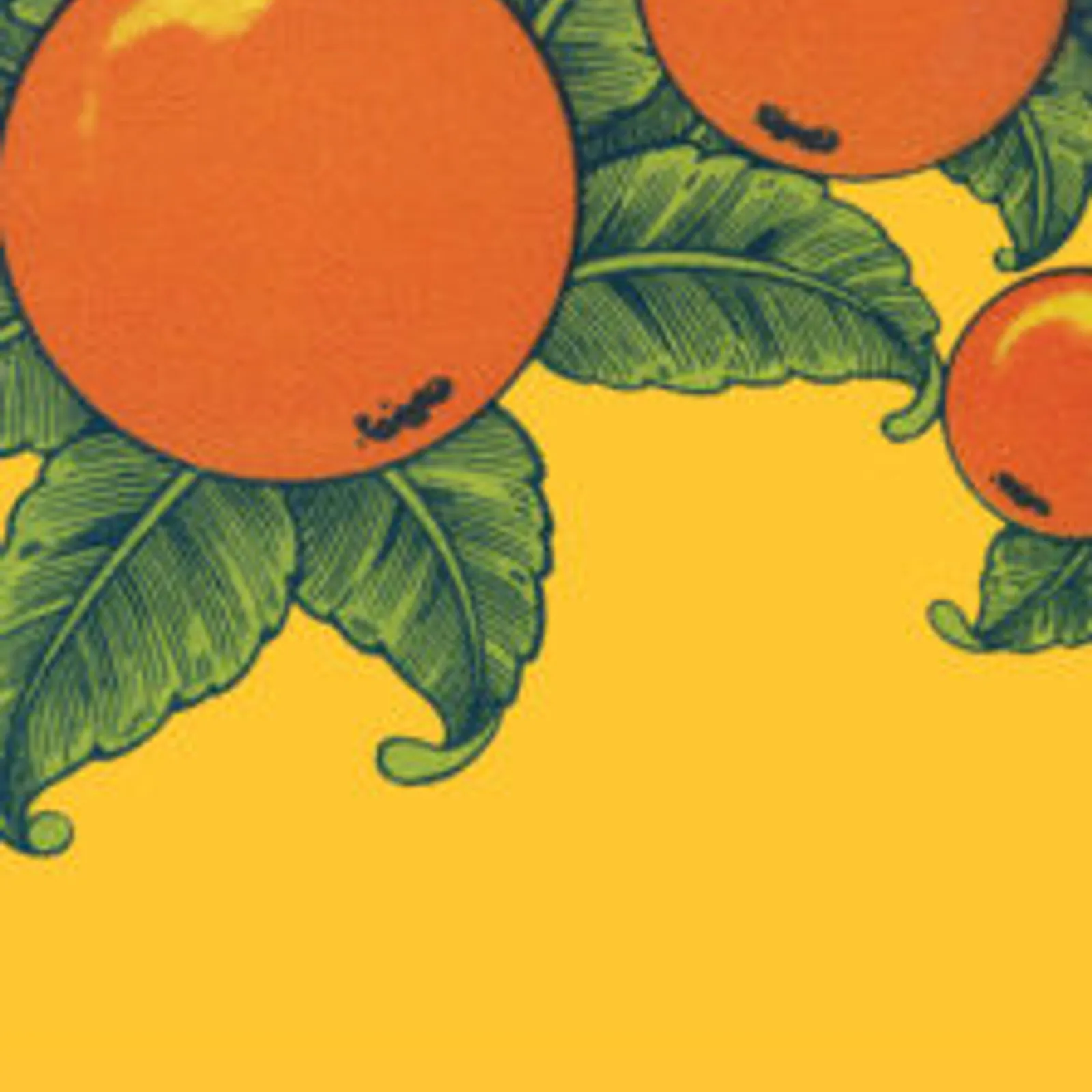 Ceux que je suis - Olivier Dorchamps