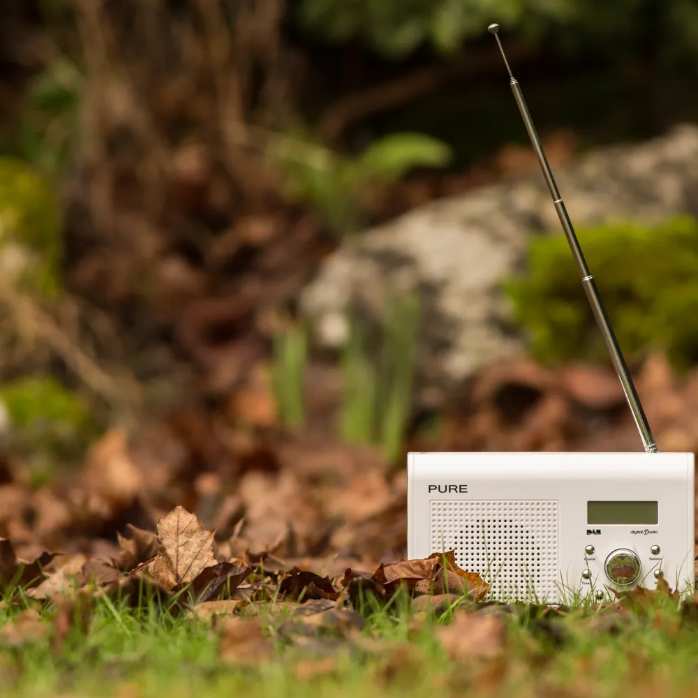 Productions radophoniques bretonnes