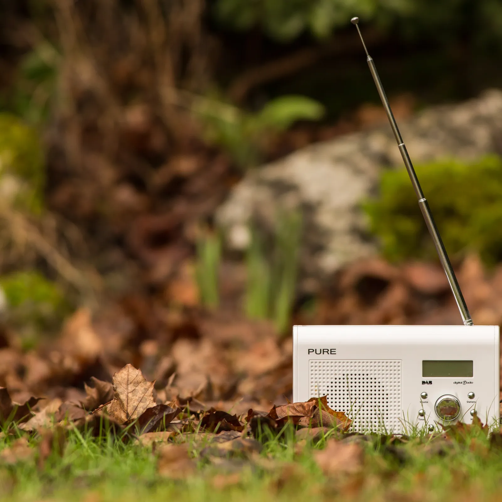 Productions radophoniques bretonnes