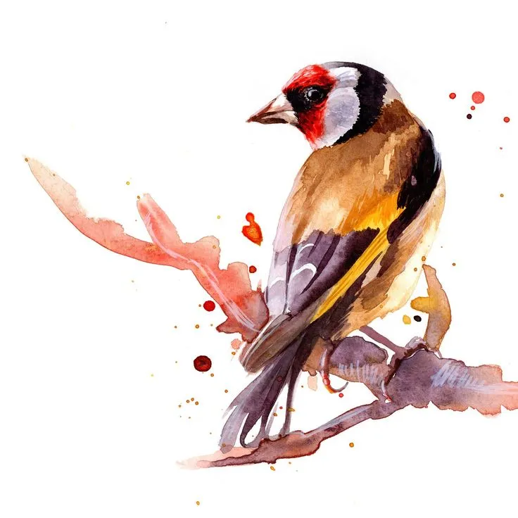 Evned ma jardin : testennoù Madalen an Amour 2/3