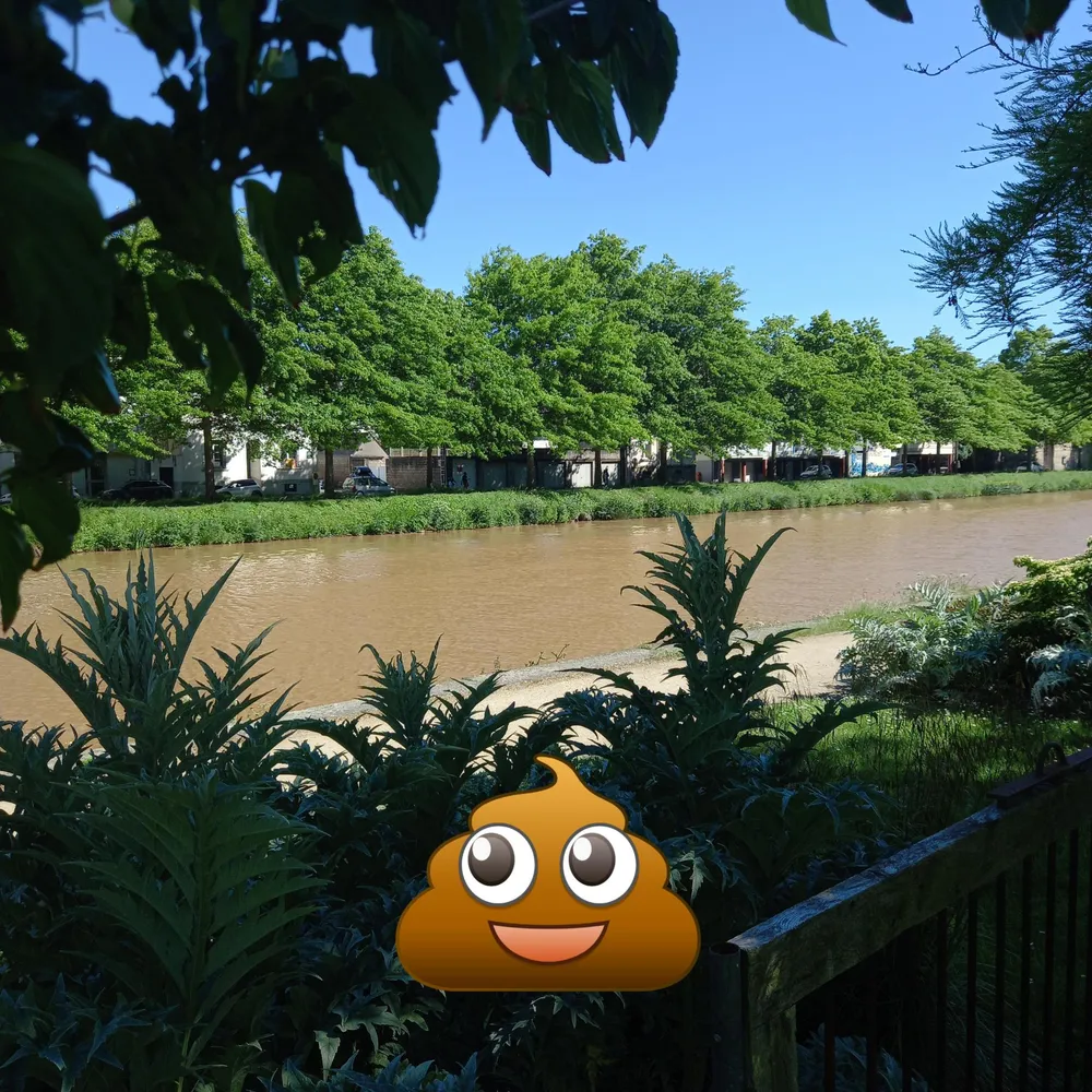 Champ-Contrechamp le magazine, 15 mai 2025 - Le réemploi des matériaux et des déchets