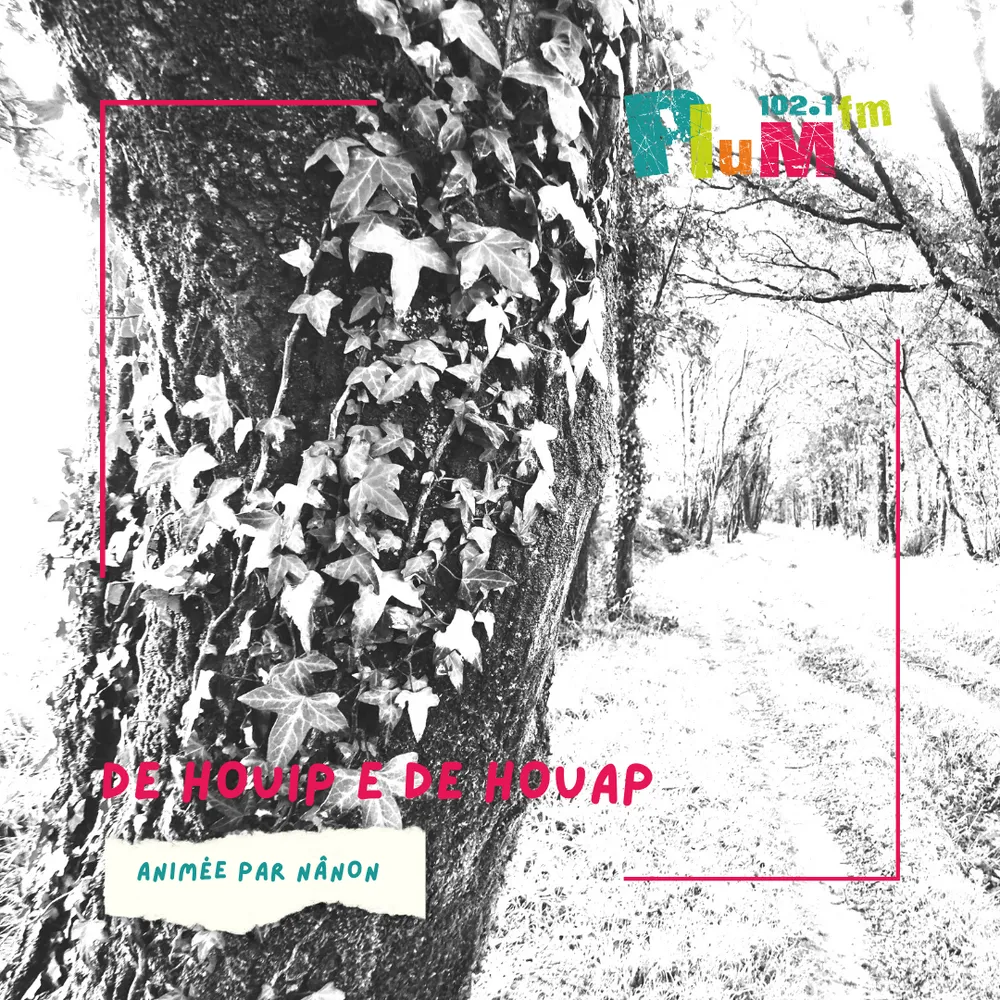 De houip e de houap : Louis Bernier #1