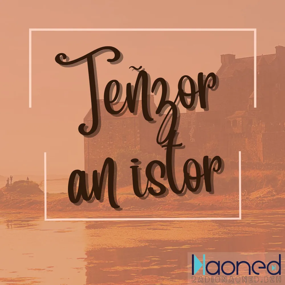 Teñzor an istor
