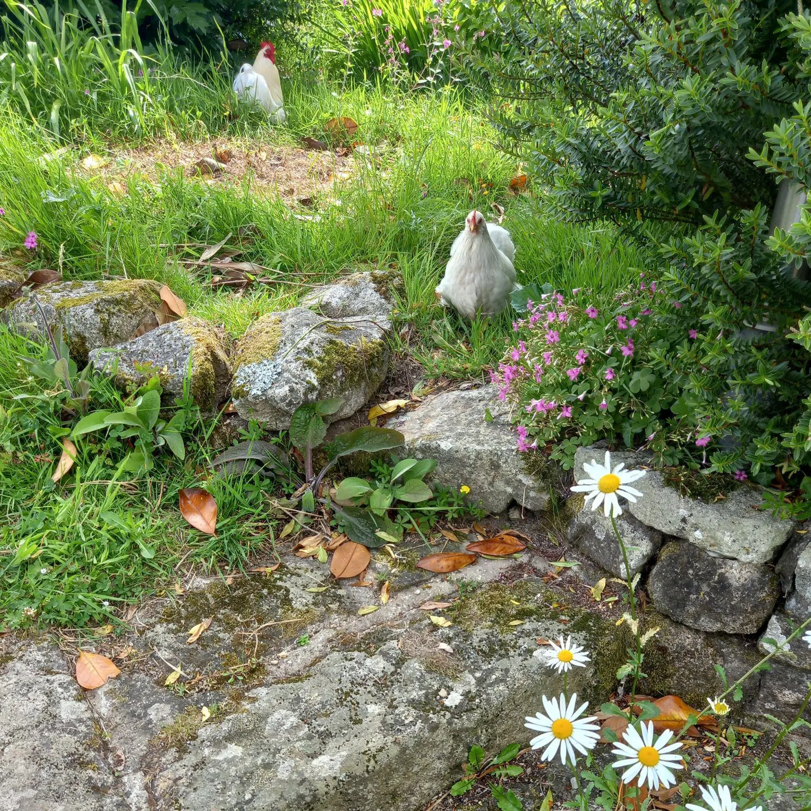 L'éco-hameau de Touldorhent - vivre la transition en collectif