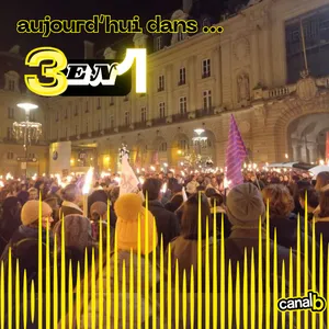  Immigration et langue française avec le Collectif "Le Français pour toustes" / Immersion dans la Marche aux Flambeaux du 25/11