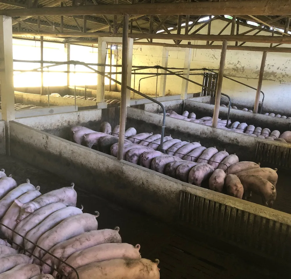 C'hwezh an deiz 27/04/2023