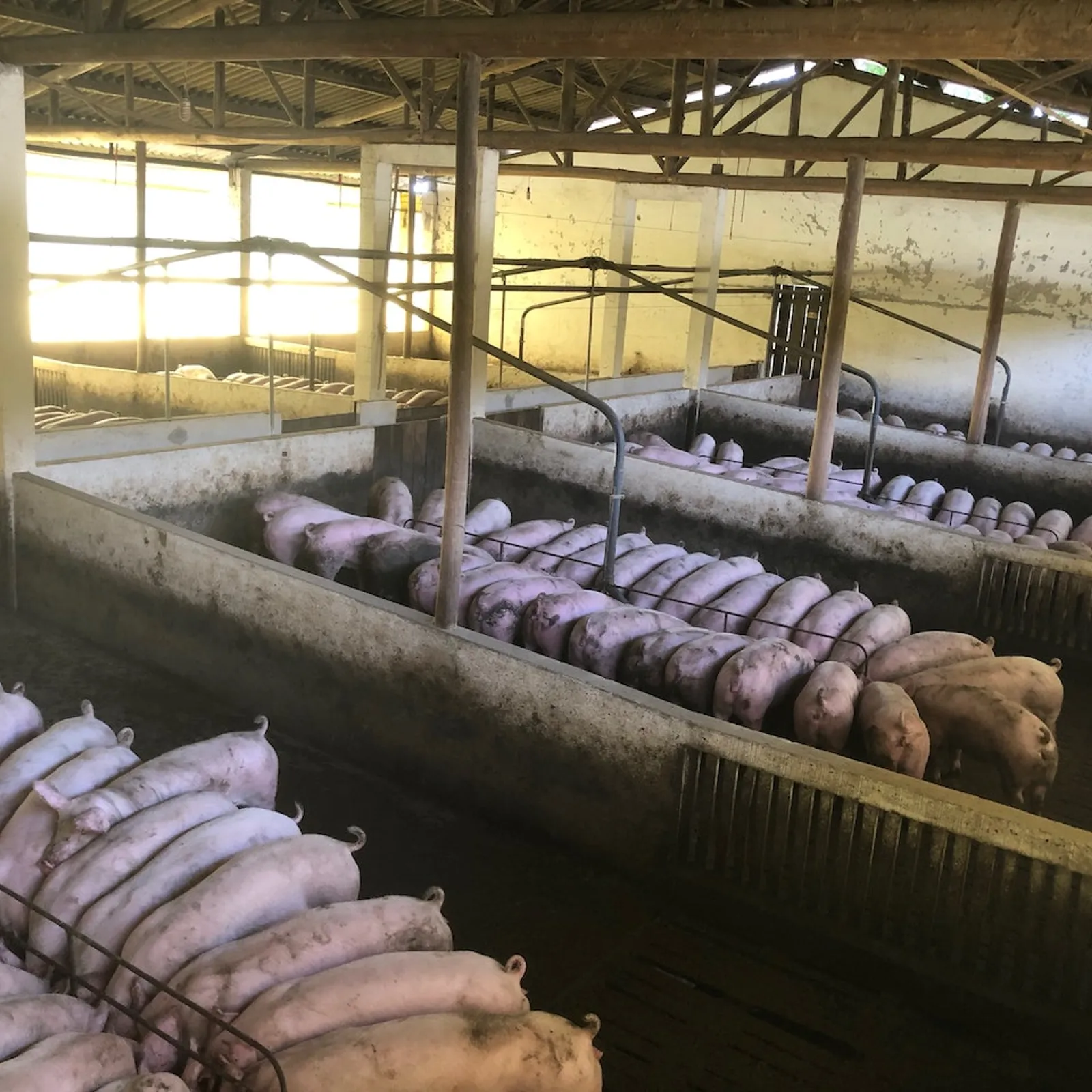 C'hwezh an deiz 27/04/2023