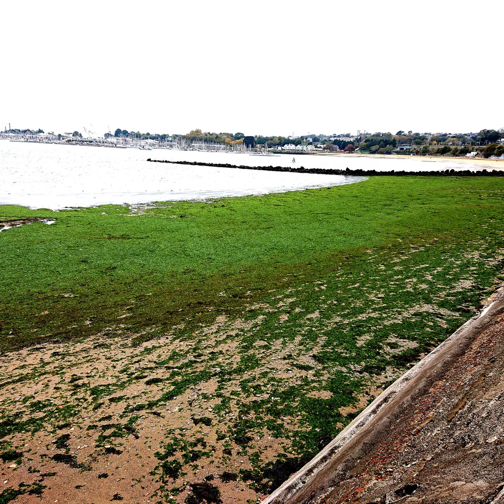 Green Washing #13 Le contrat de rade de Brest