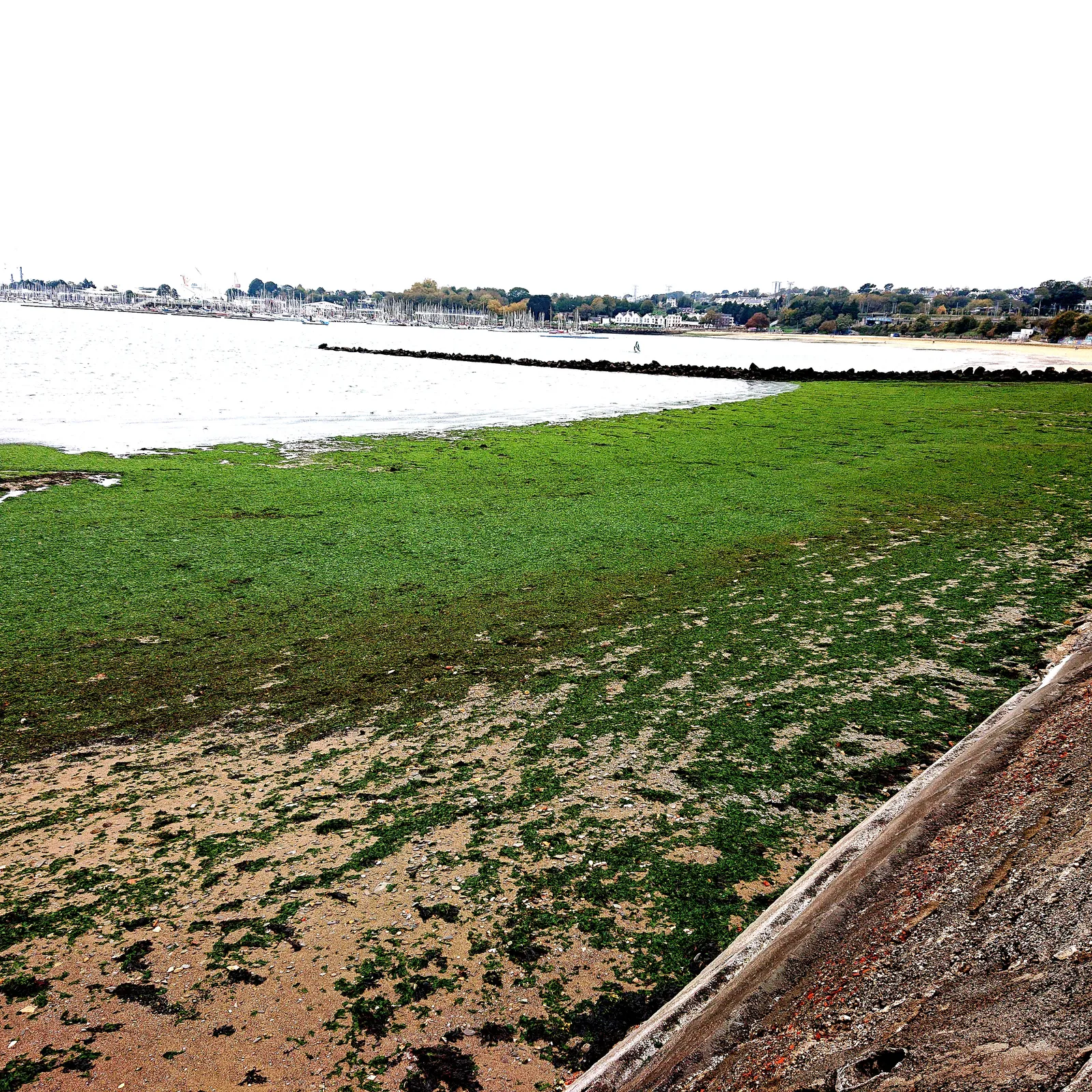 Green Washing #13 Le contrat de rade de Brest