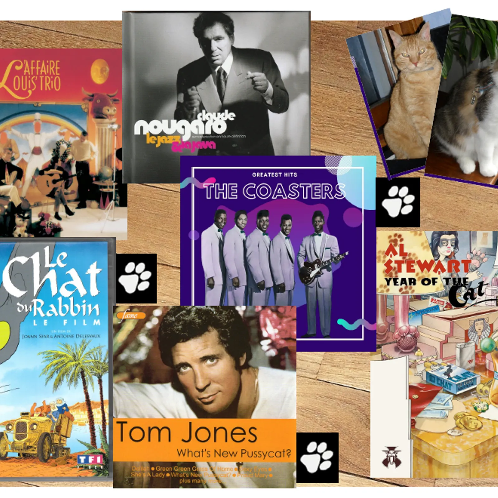 Les chats en toute humanité... 