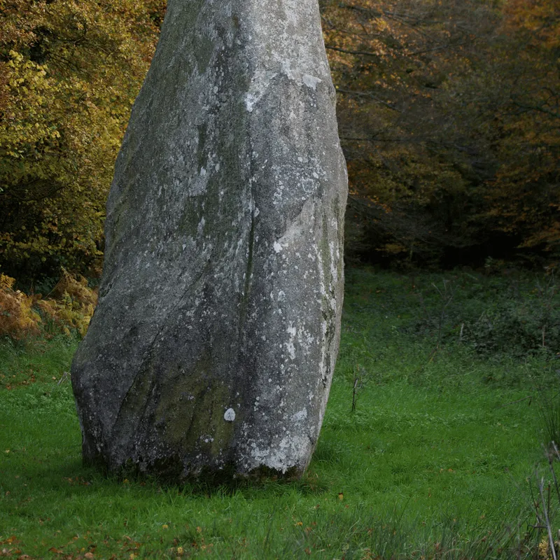 Bagetennoù, peulvanoù ha Google Maps : Robert Nicolas ar jeobiolog 1