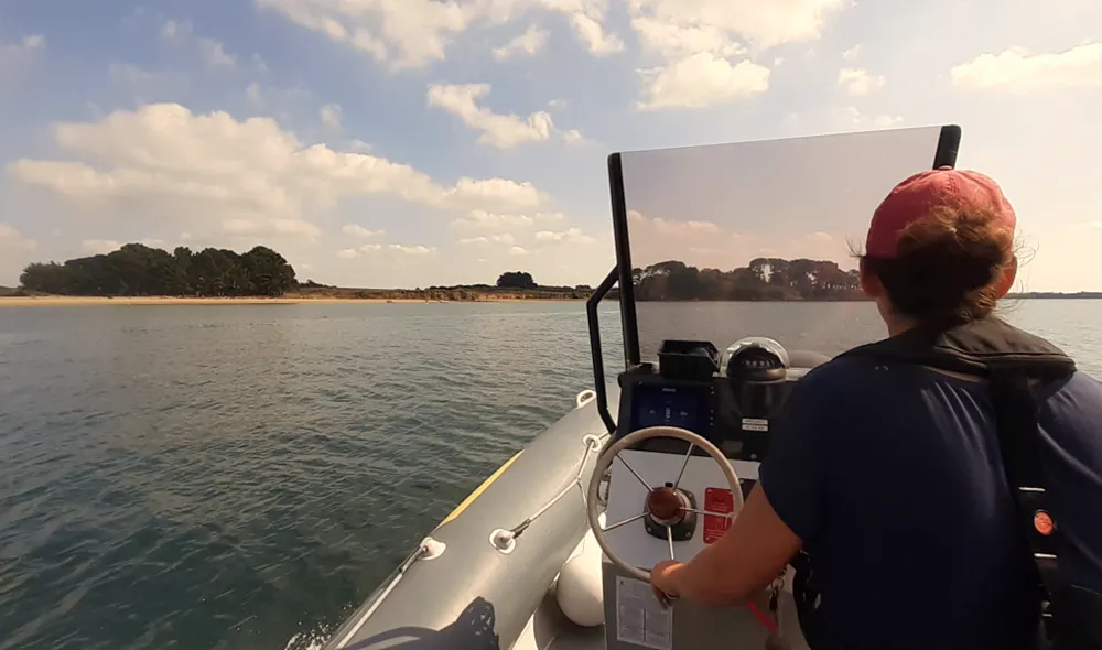 Dans le Golfe du Morbihan pour préserver son patrimoine naturel (version longue)