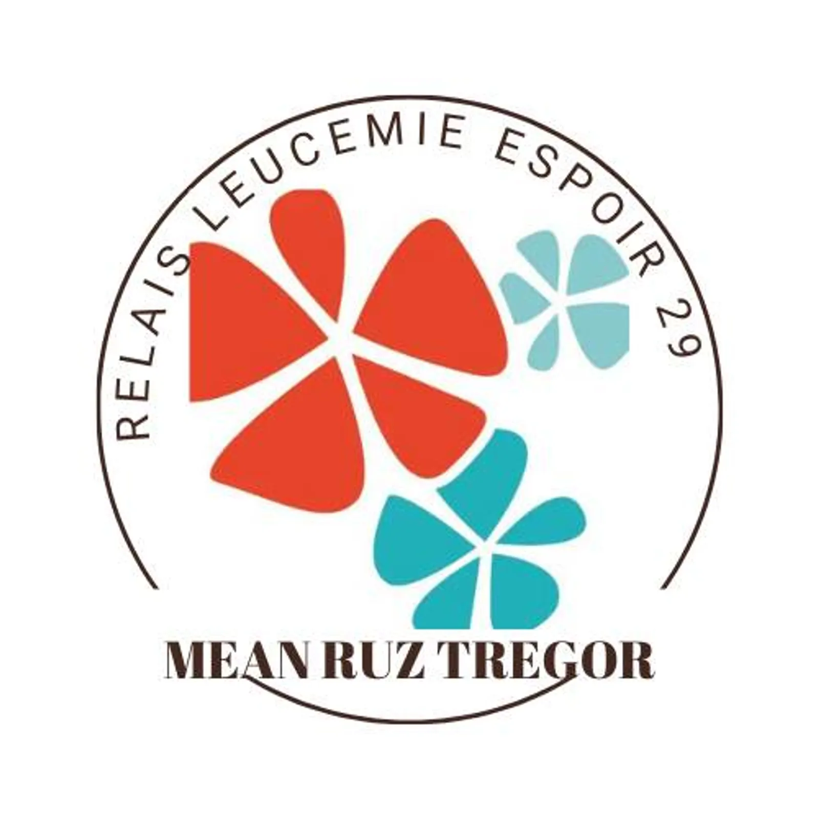 Chom skoaz ouzh skoaz pa vez tud klanv er familhoù : Maen Ruz Treger ha Leucemie Espoir 29