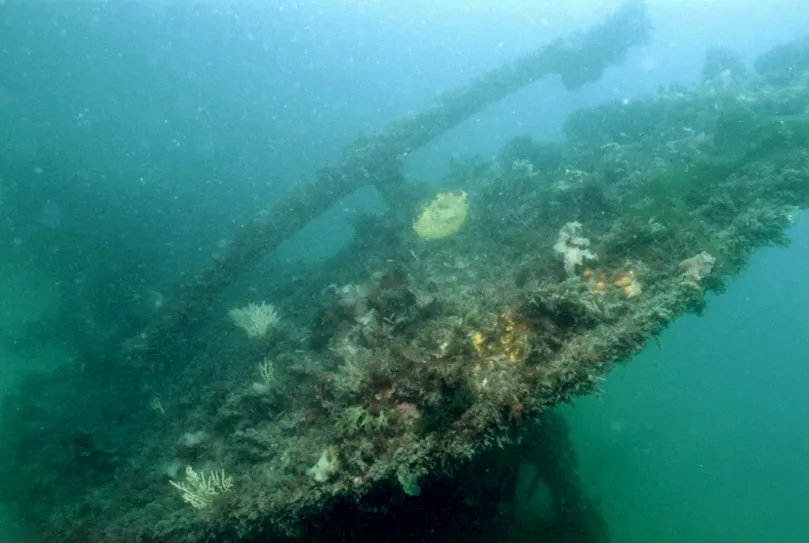 Le chalutier La Tanche