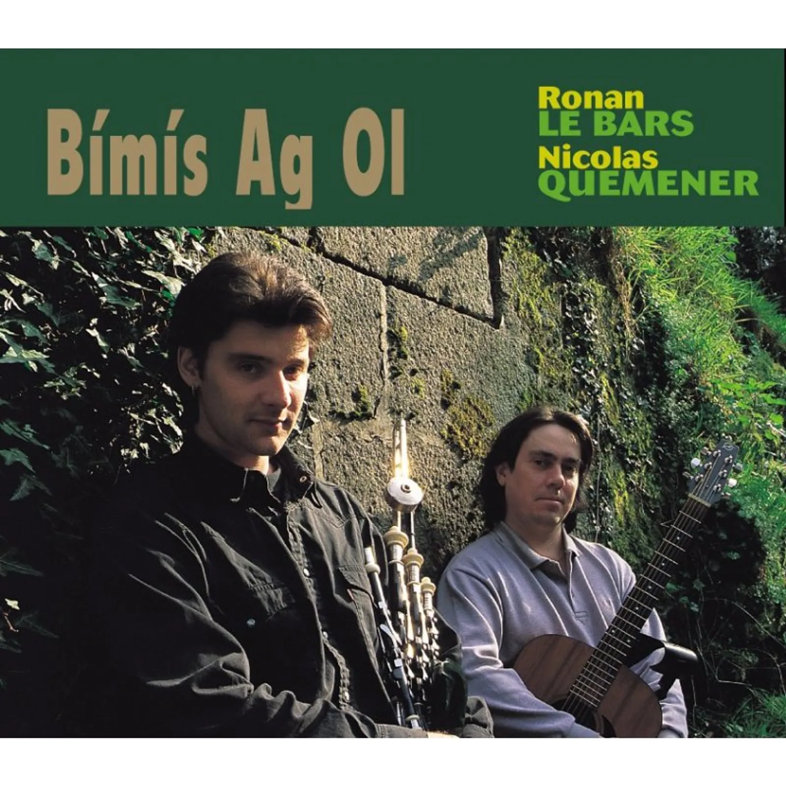 An daouad e sonerezh Iwerzhon