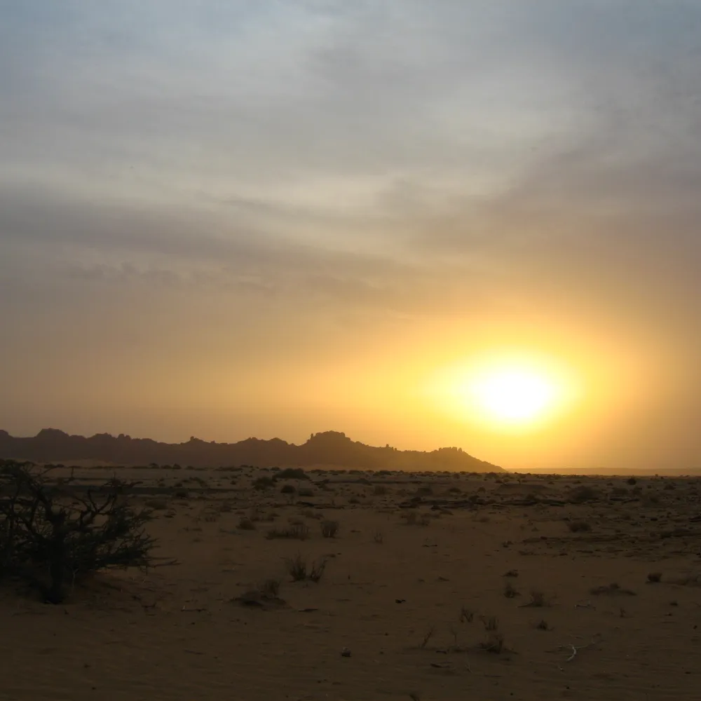 Green Washing #10, le plan climat-air-énergie territorial de Brest Métropole