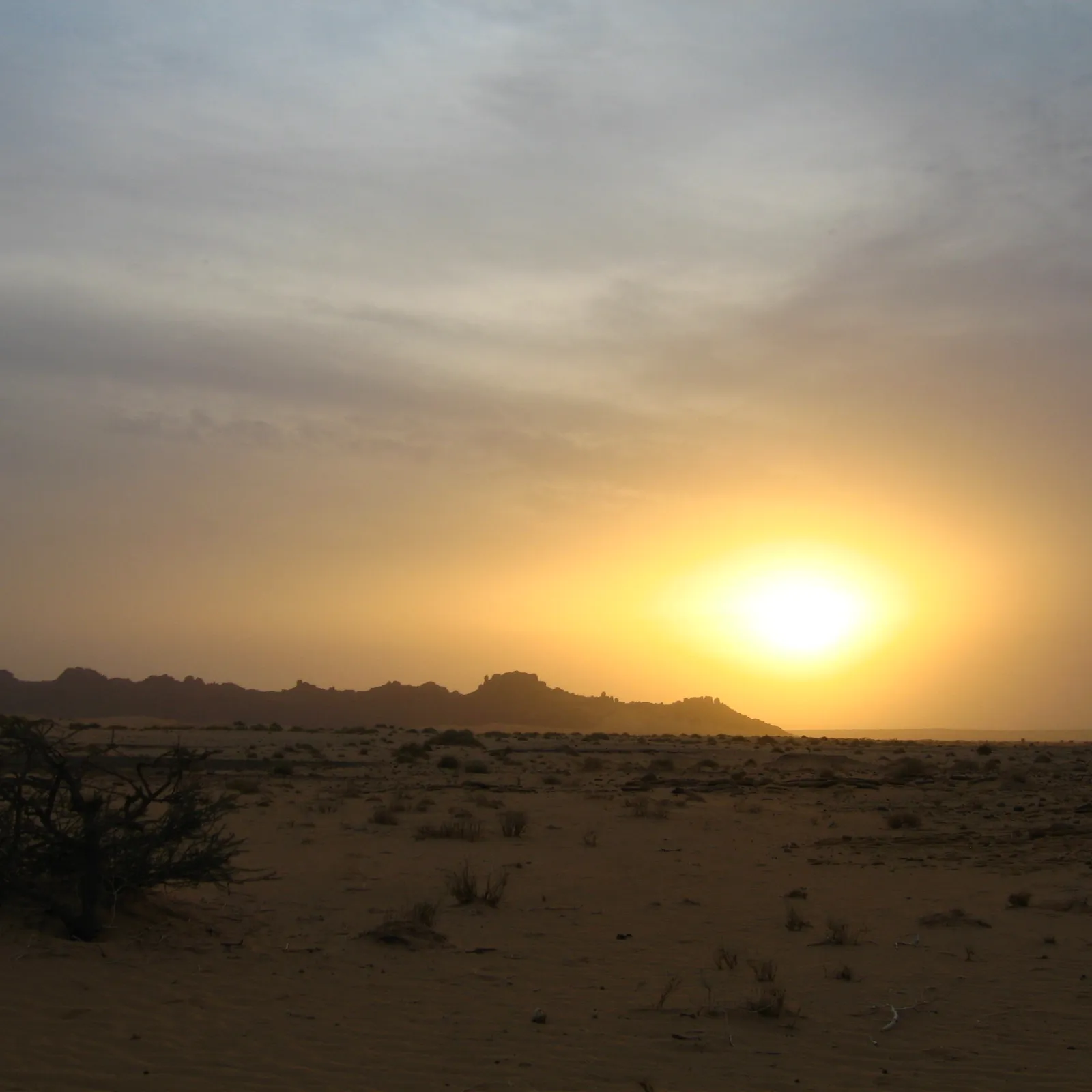 Green Washing #10, le plan climat-air-énergie territorial de Brest Métropole