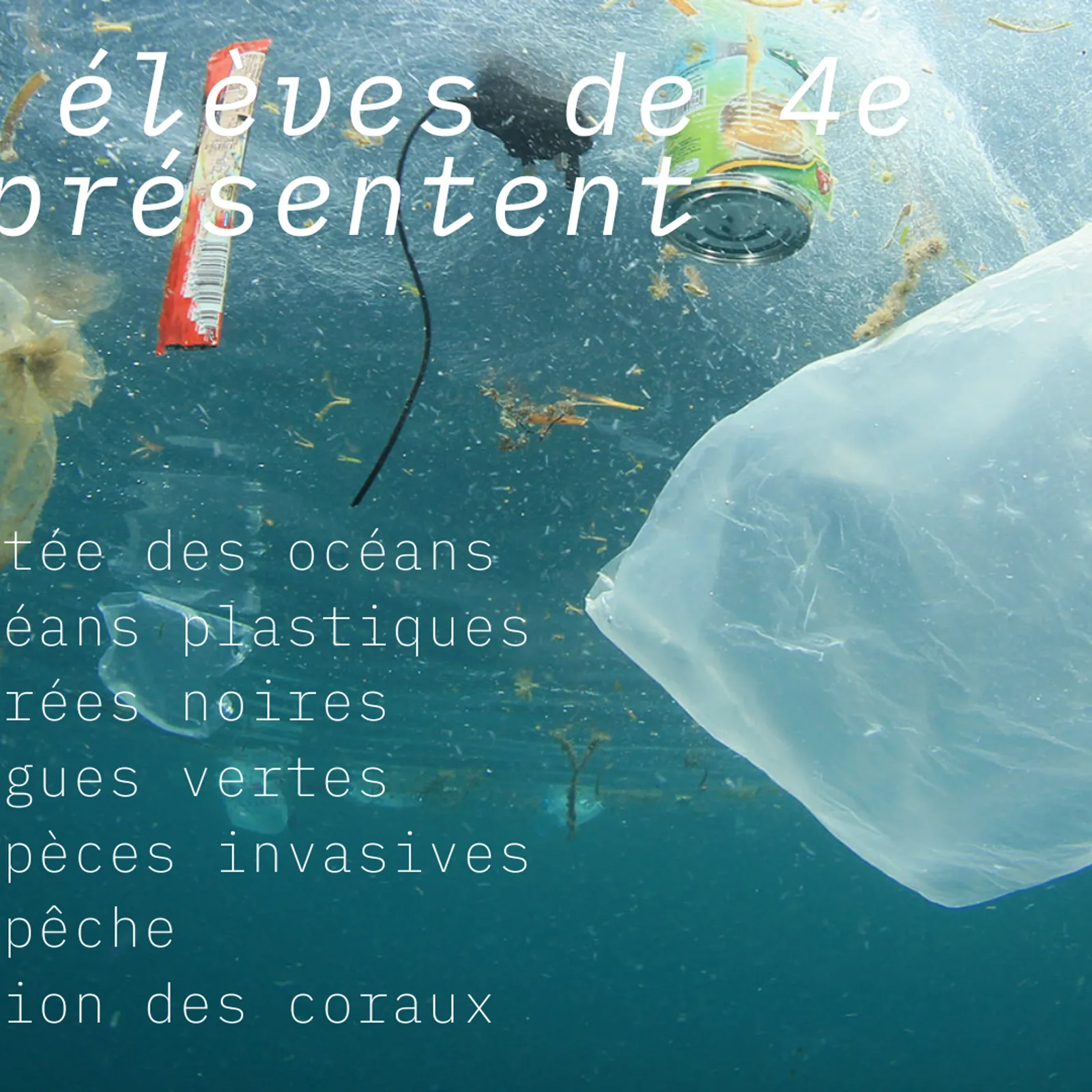 Episode 6 la surpêche