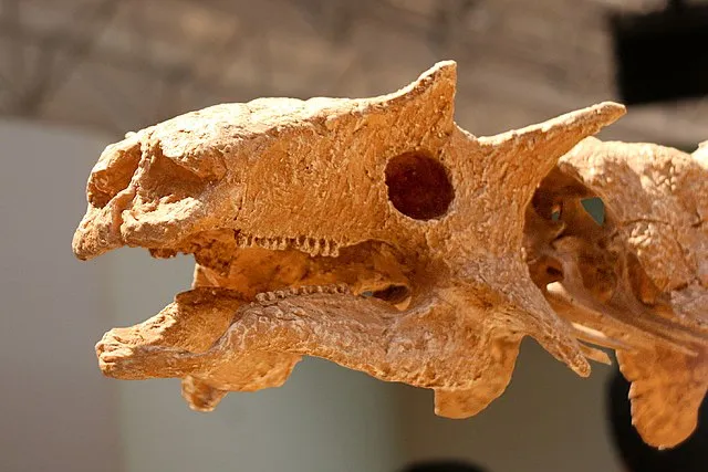 Les cris des dinosaures 