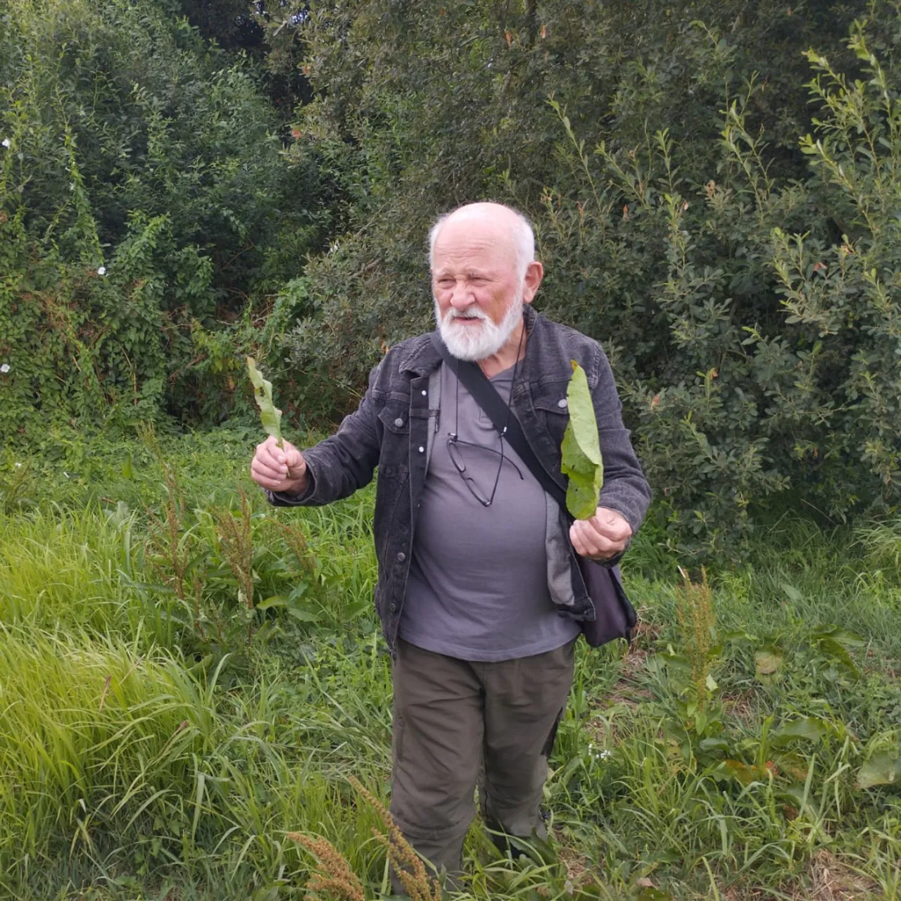 En balade avec Pierre Danet à la Fête de la Nature de Nivillac