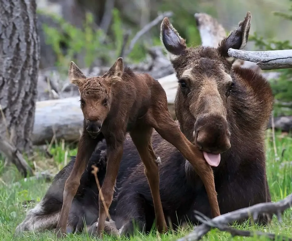 Tavarn Kreiz Mintin - Live ! 17/10/2024