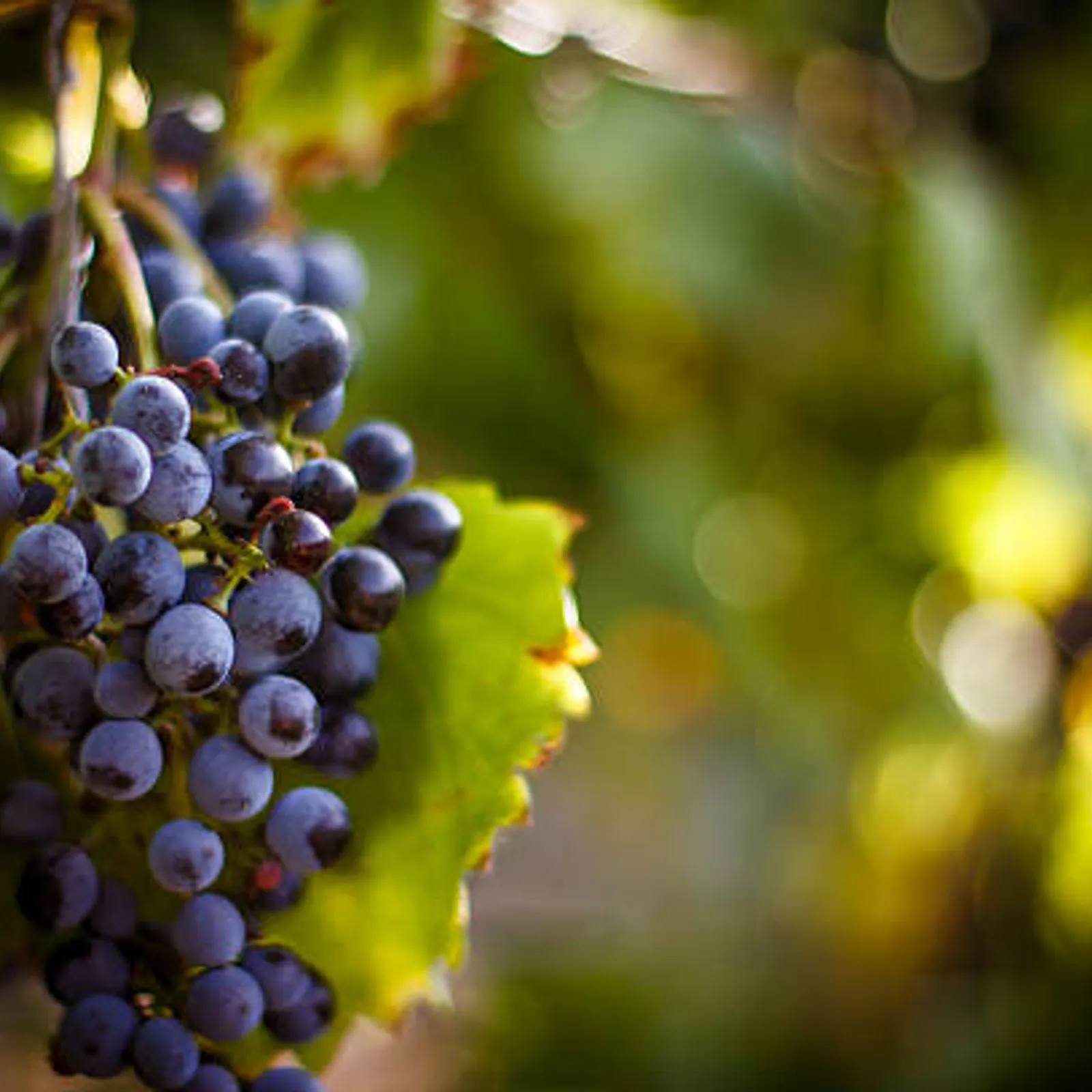 C'hwezh an Deiz 20/10/2023