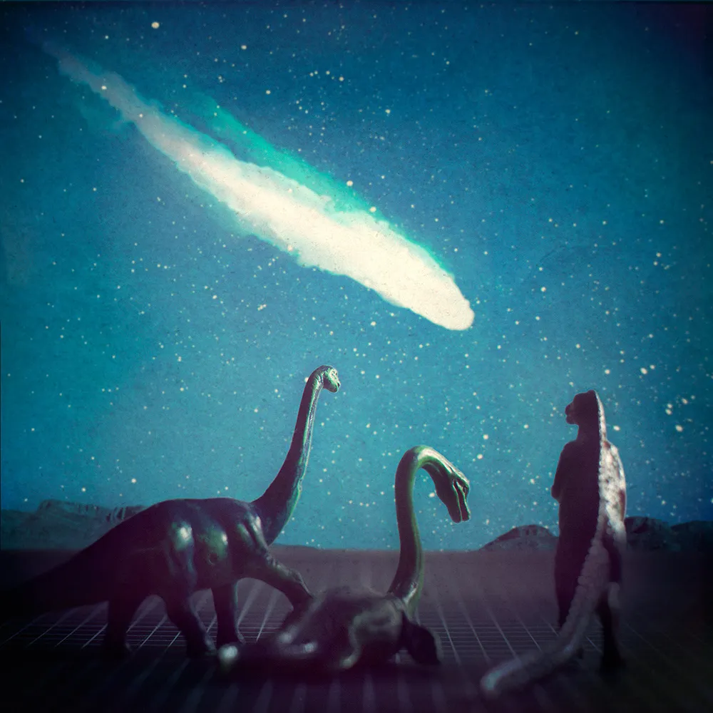 Le Chant de l'Alouette #9