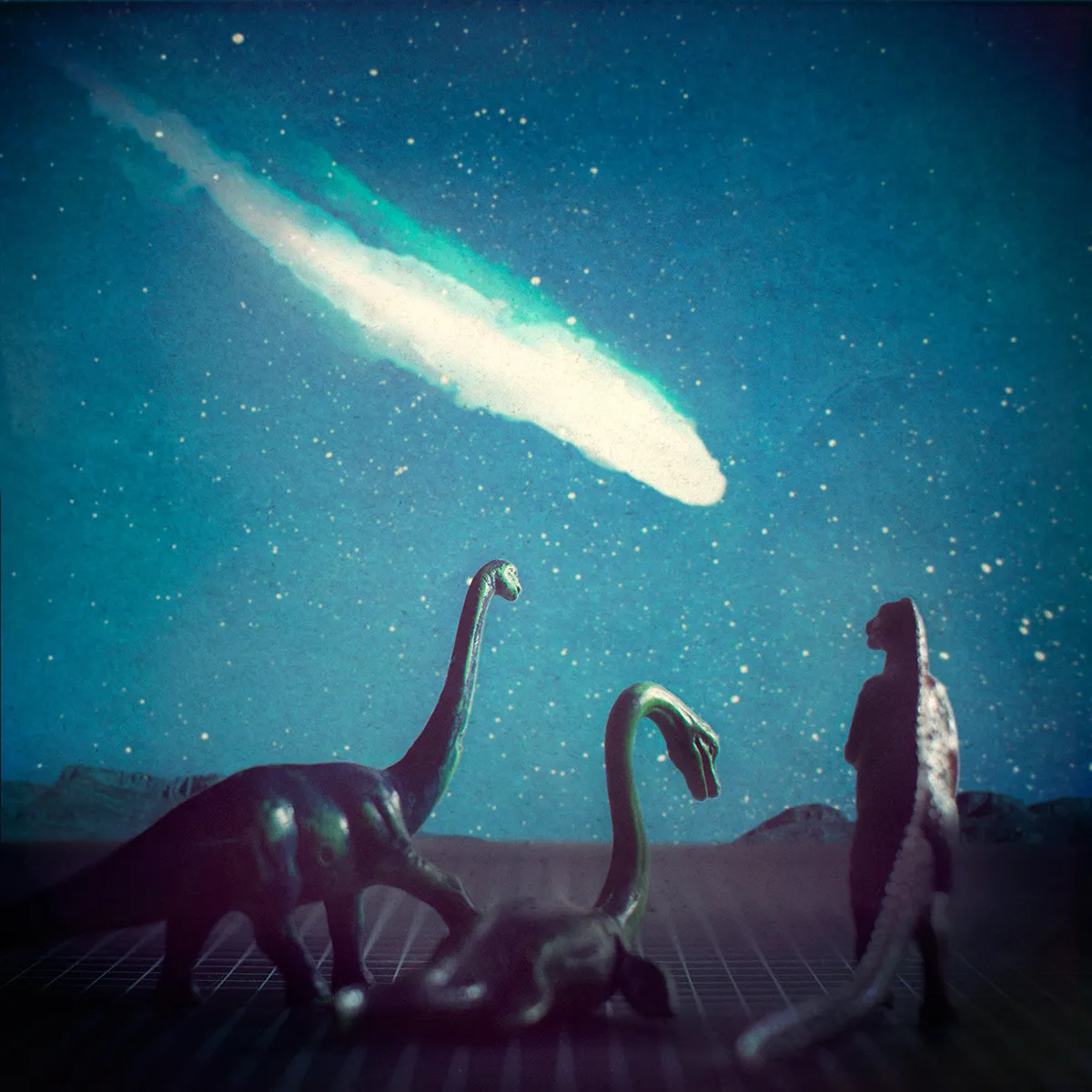 Le Chant de l'Alouette #9