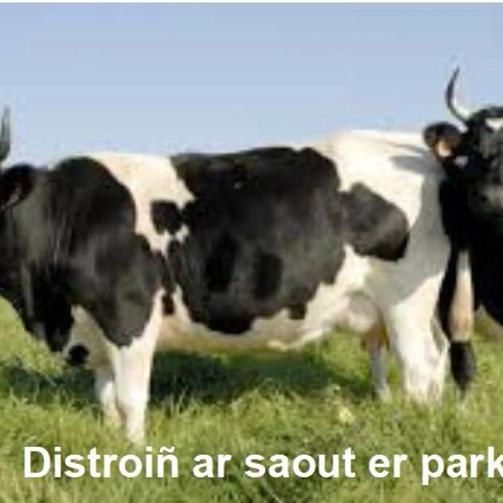 Cours n°177