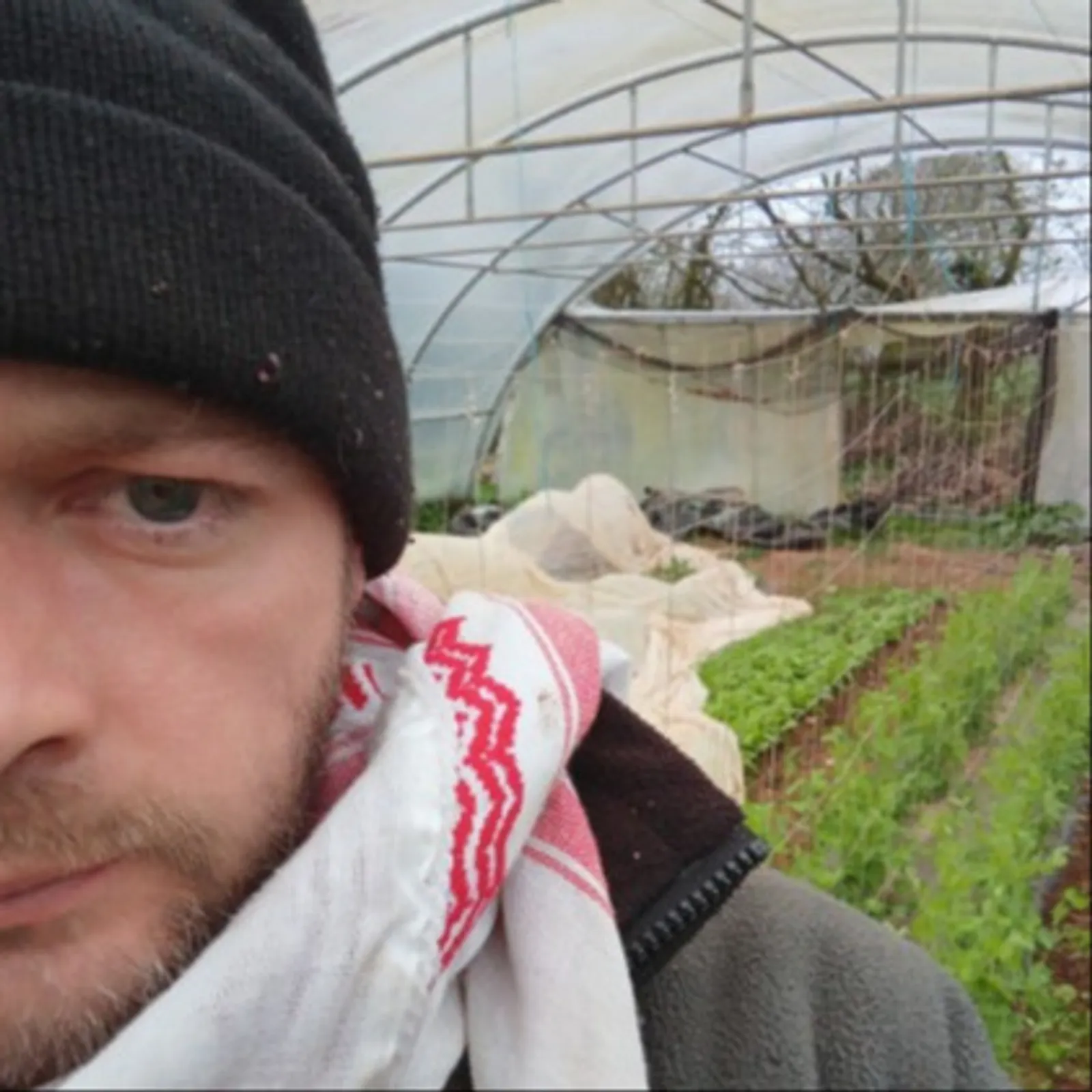 Dans le sillon de Giovanni,  maraicher bio bassiste. 