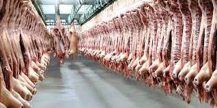 Leur travail, c'est pas leur santé. Episode 3 : A l'abattoir