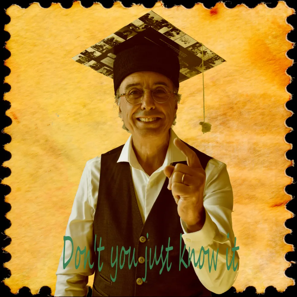 DON'T YOU JUST KNOW IT ? => épisode 63 : Les bijoux,  les diamants et  autres...