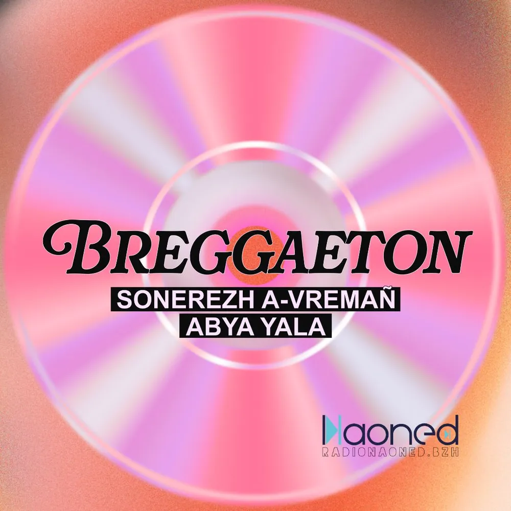 03- Reggaeton politique